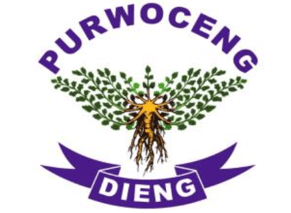 lmU0G3QwZw-logo-submission.PurwacengDieng